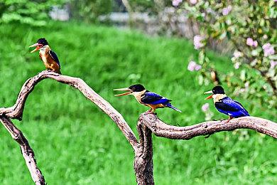 《盗贼之海》已是美服PSN预购最多的游戏