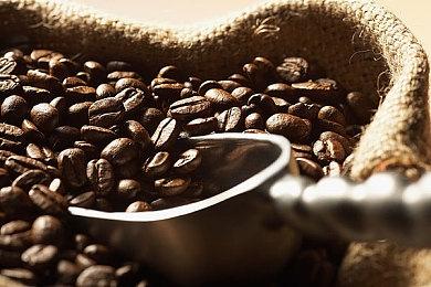 《真三国无双：起源》体验版下载突破100万